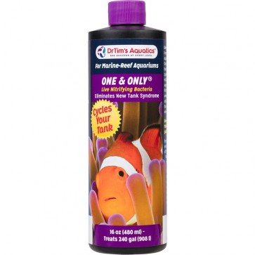 Dr Tim's One & Only 16 oz