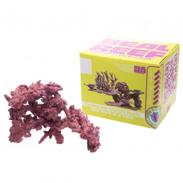 E-90 Real Reef Rock - Ltd Edition Fancy Arch 