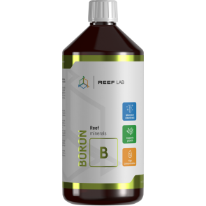 Boron (1000ml)